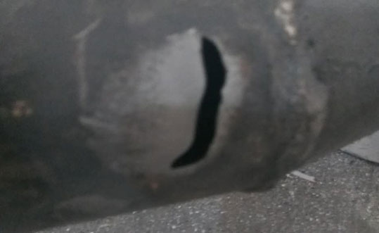 普通快猫成人短视频
